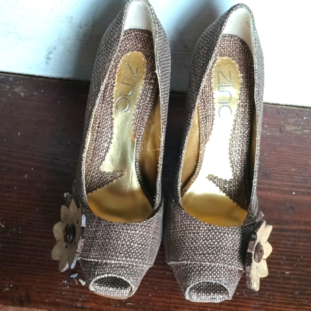 Zinc Shoe